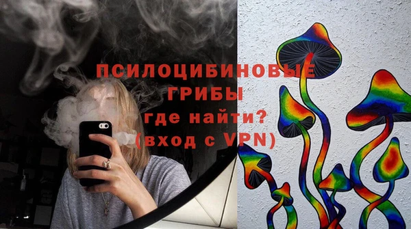 молекула духа Бугульма