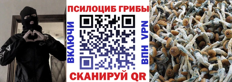 Псилоцибиновые грибы Psilocybine cubensis  купить   Новохопёрск 